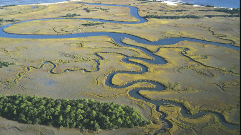 Aerial view of twisting streams on Otter Island. This is an example of a coastal wetland area, which supports a large about of fish species and helps shelter coastal communities from storms- South Carolina has the largest amount of salt marsh area in the East Coast. © Tom Blagden