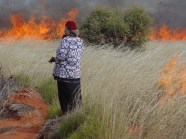 Hunting With Fire Promotes Healthy Ecosystems In Australia