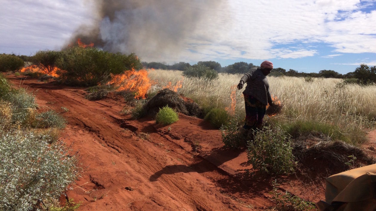  Nyalangka Taylor sets a fire line to create a nyurnma (patch of freshly burned spinifex grass) in preparation for hunting parnajarrpa (sand monitor lizard) near Parnngurr Community. Photo © Douglas Bird, 2015.