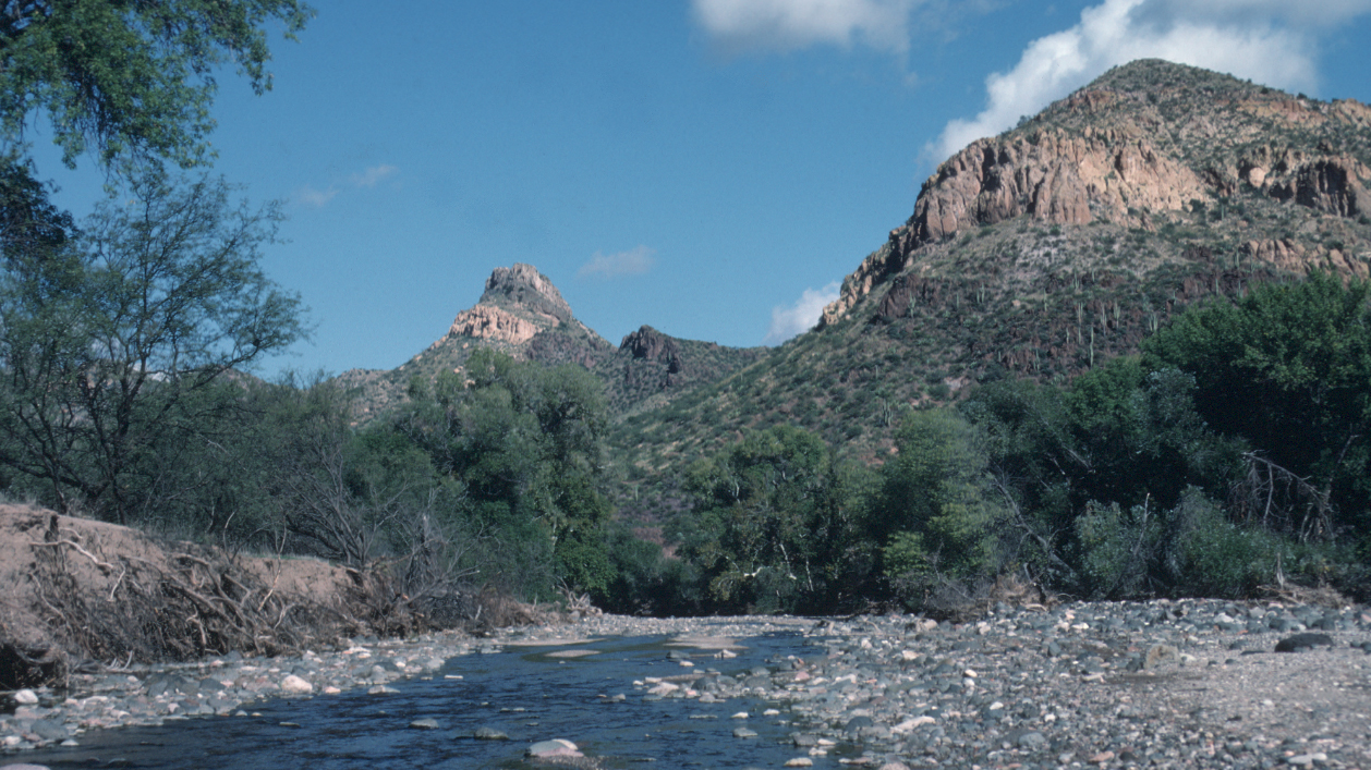 Autumn view of riparian habitat along creek at Bass Canyon within the Muleshoe Ranch Cooperative Management Area. Photo © The Nature Conservancy