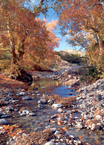 Stream at Muleshoe Ranch Preserve, Arizona. Photo © John Hoffman