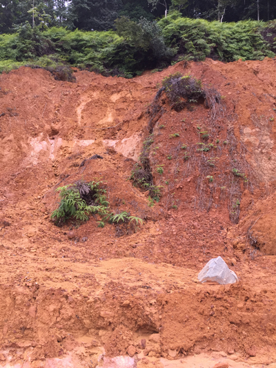 Erosion scar along the major road up the watershed. Photo © The Nature Conservancy (Josh Goldstein)