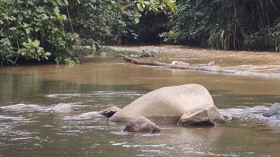 Confluence of clear water coming from a tributary and muddied water in the main river channel after an intense overnight rainstorm. Photo © The Nature Conservancy (Erik Martin)