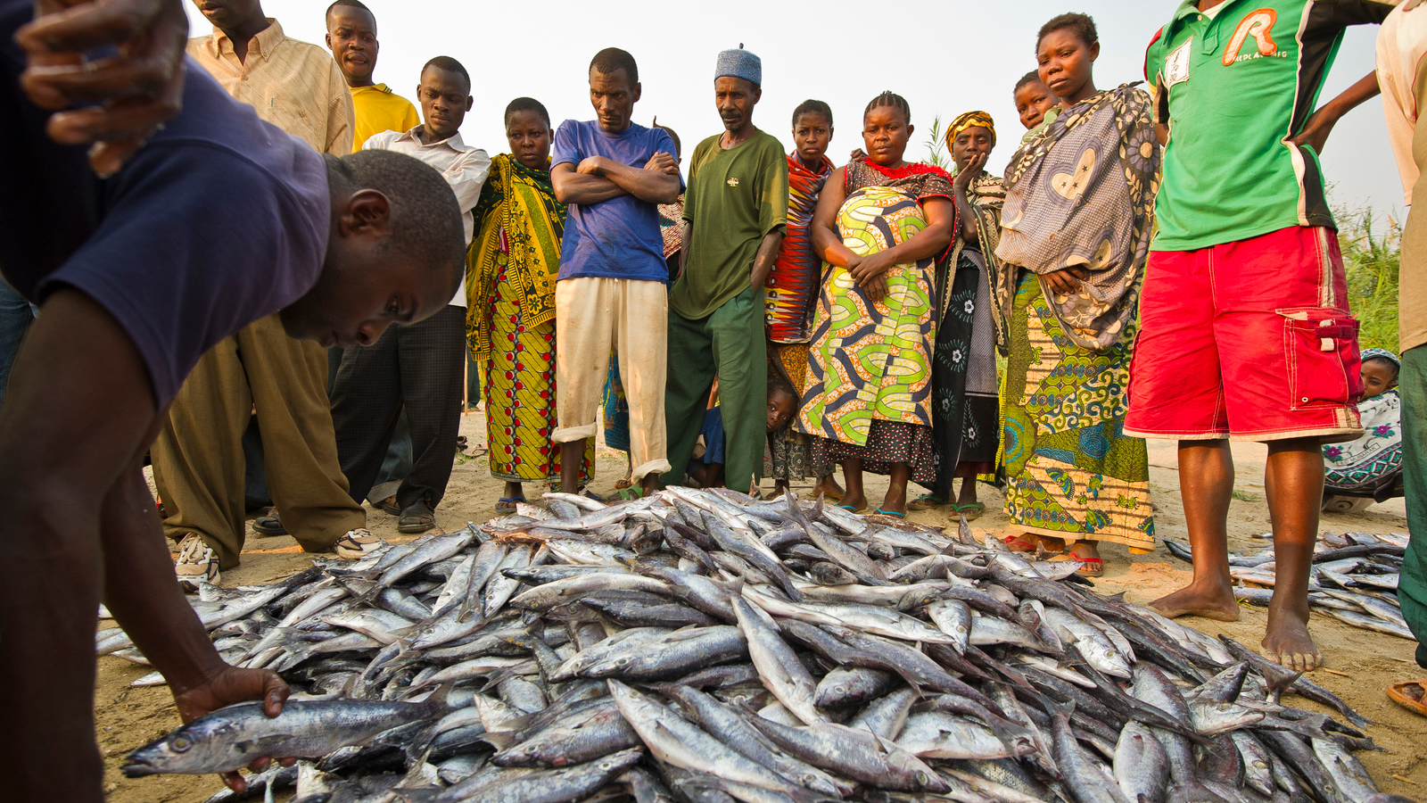 Fresh Water Fisheries