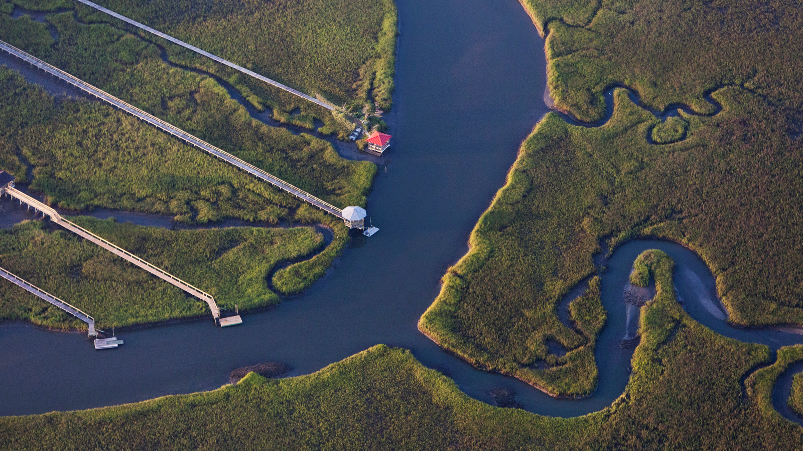Marsh and wetlands along Pawley's Island, South Carolina. Sea level rise not only affects wildlife habitat but also threatens coastal communities. Photo © Mac Stone