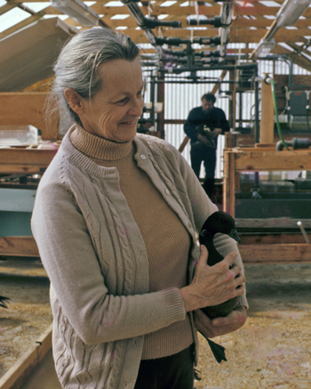 Marion Glaspey of the Wetlands Institute, January 1977. Photo © Clay Sutton