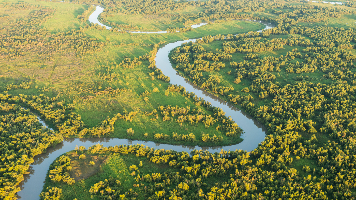 Aerial photo of a tidal marsh creek in Wax Lake Delta, all part of the greater Atchafalaya River Delta, Louisiana. Photo © Carlton Ward Jr.