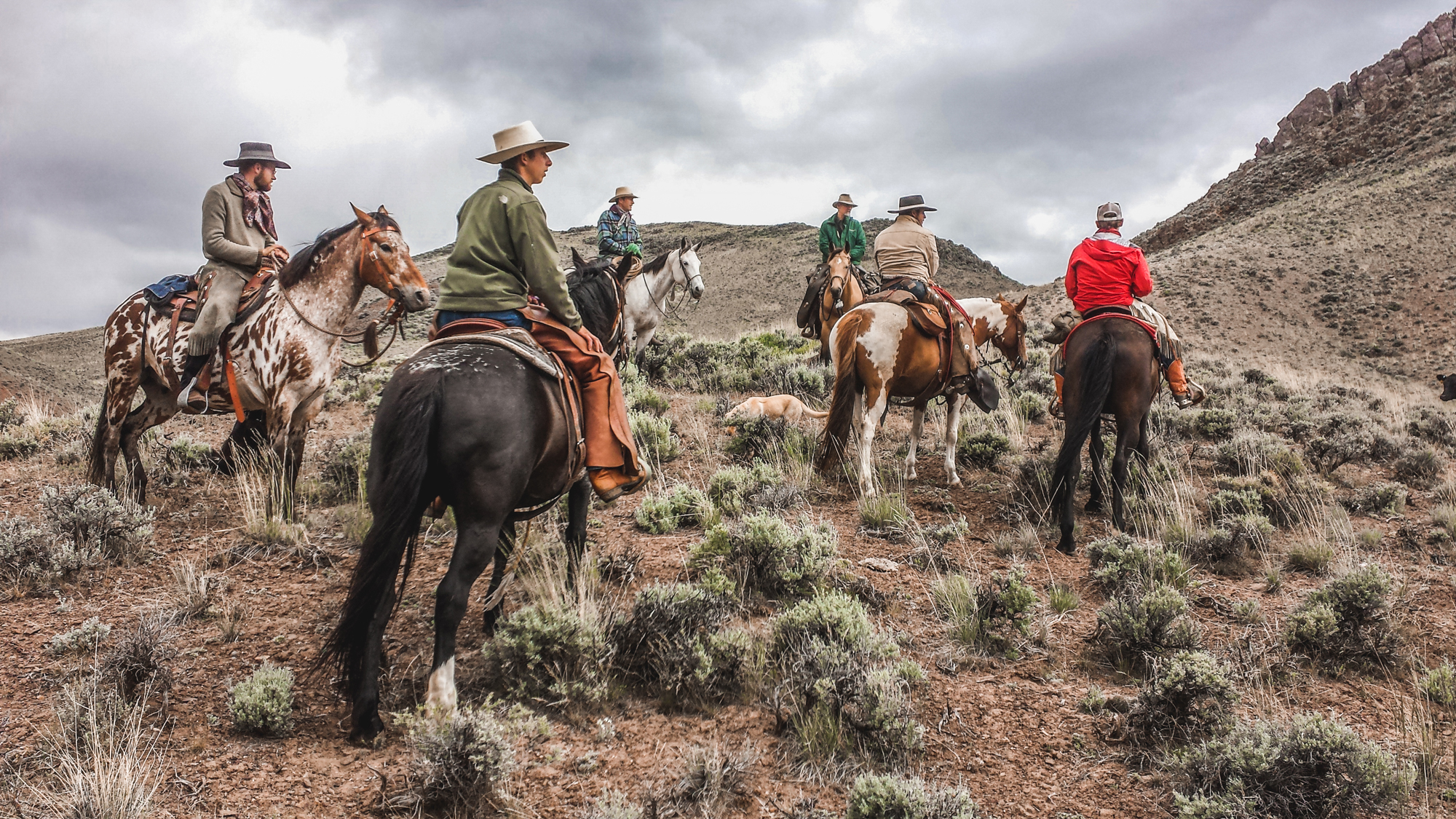 The Alderspring Crew observes and settles beeves in for the first night at Magpie No. 1. Camp. Photo © Melanie Elzinga