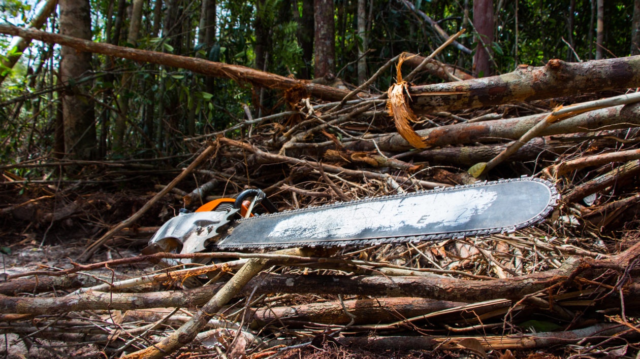 A chainsaw awaits use in Indonesian Borneo. Photo © The Nature Conservancy (Justine E. Hausheer)