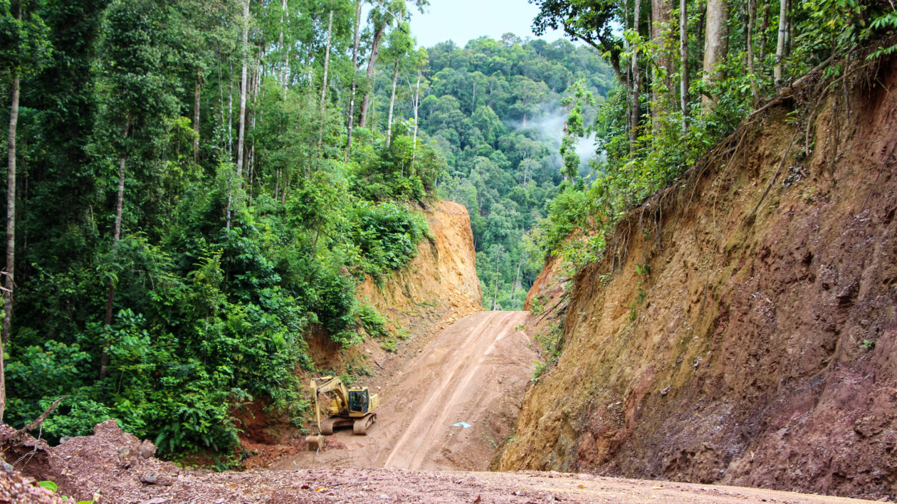 A logging roads run through the heart of the Karya Lestari logging concession in Berau, Indonesia. Photo © The Nature Conservancy (Justine E. Hausheer) 