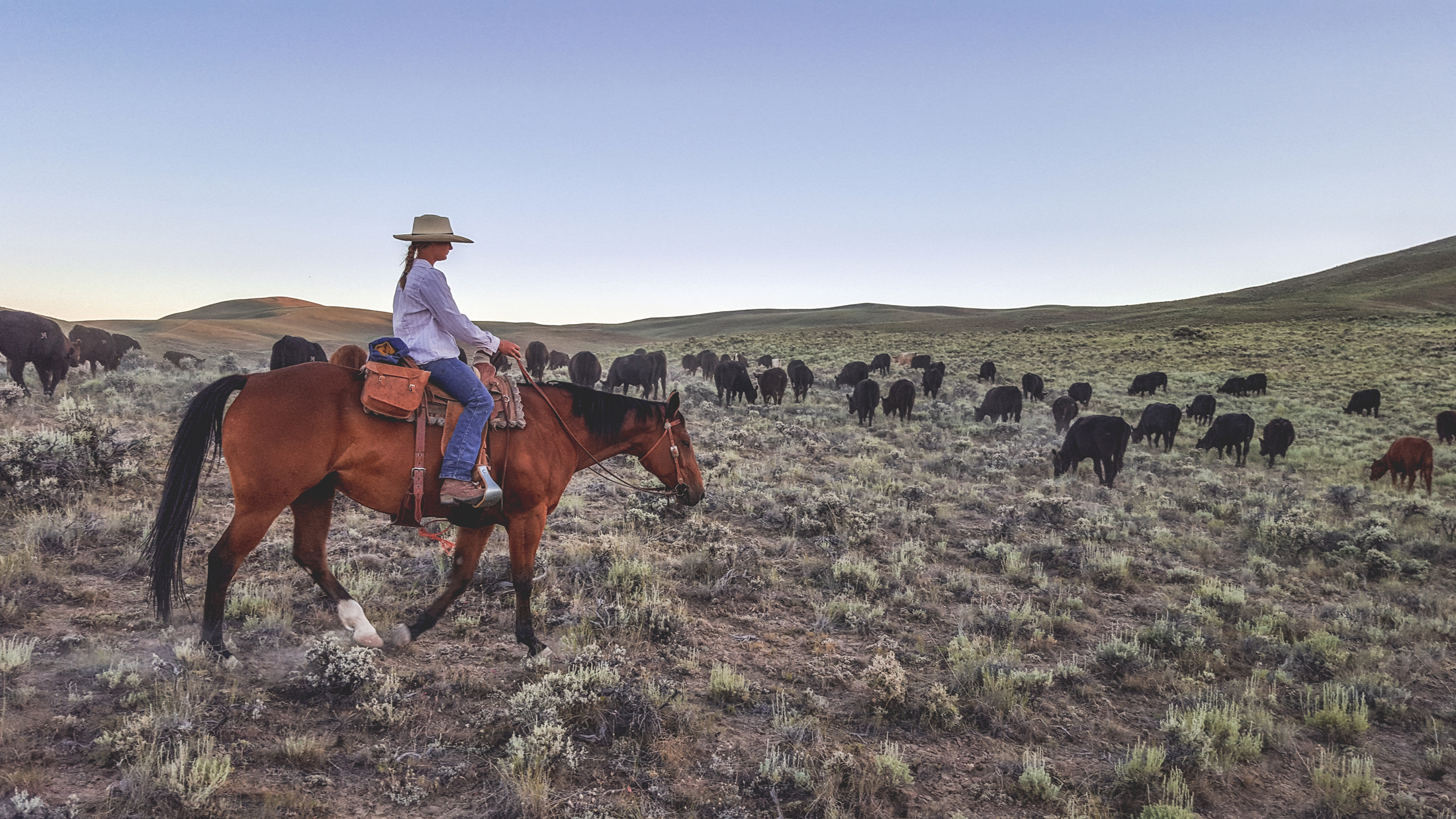 Linnaea aboard Robin in Bear Basin. Photo © Melanie Elzinga