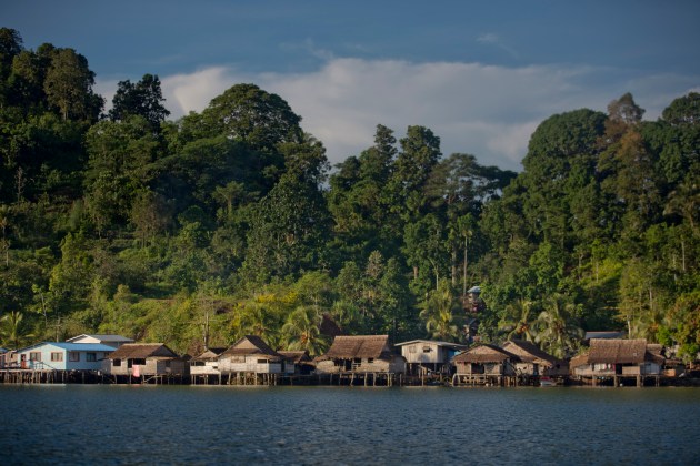 Logging Threatens Reef Fish Nurseries in the Solomon Islands