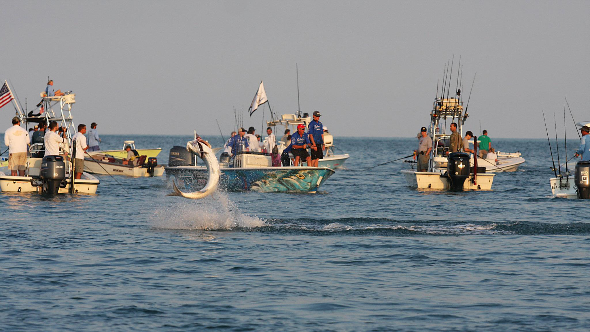 New rules could impact Boca Grande's tarpon tourney