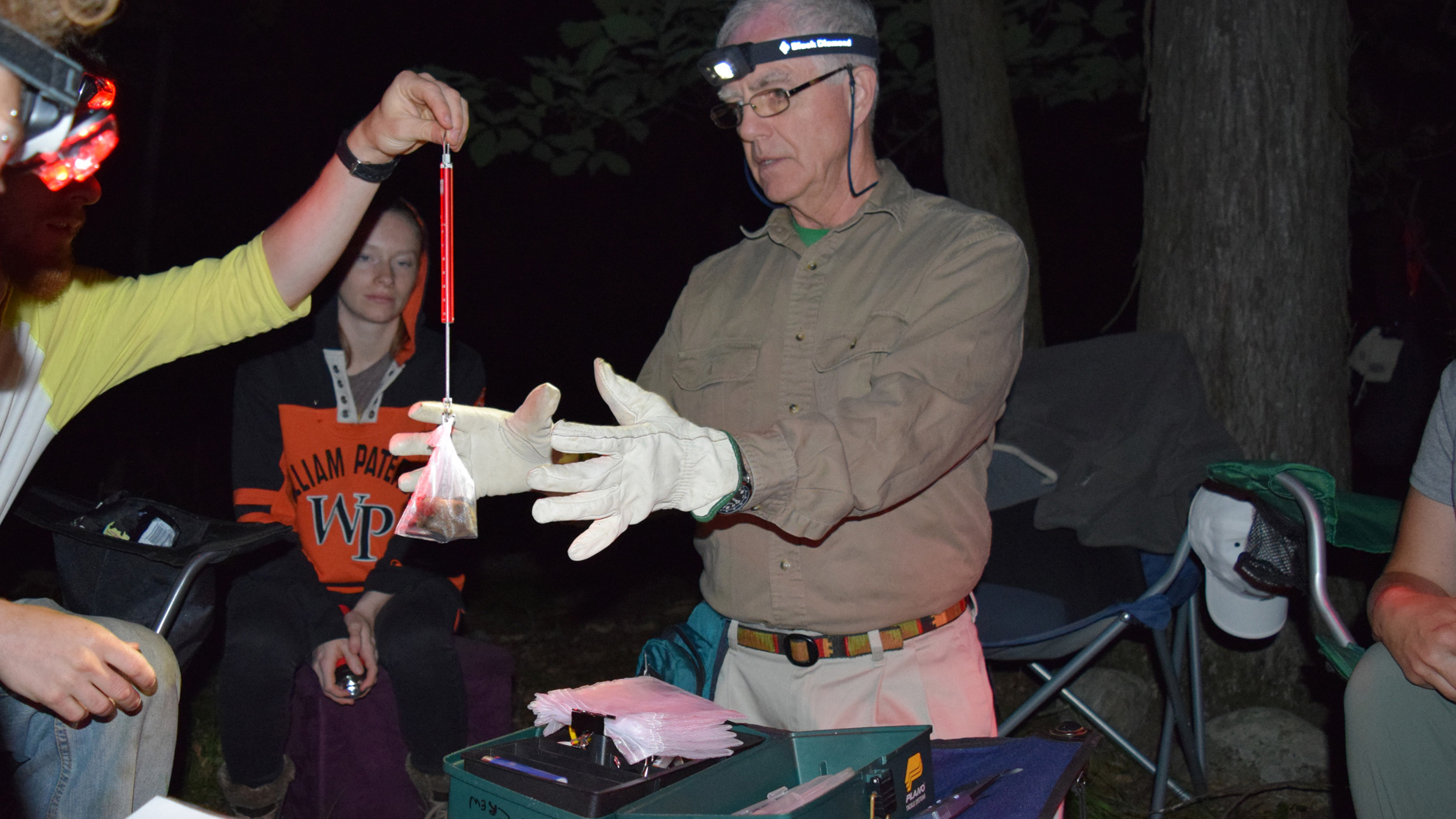 Threatened Bats Find a Slice of Paradise in New Jersey Cool Green Science