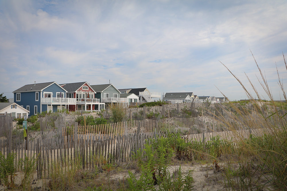 Saved by Sand Dunes - Cool Green Science