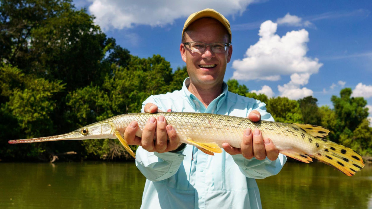 Gar Wars: A Fish Force Awakens - Cool Green Science