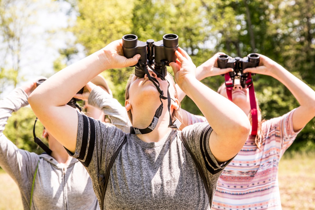 kids birdwatching