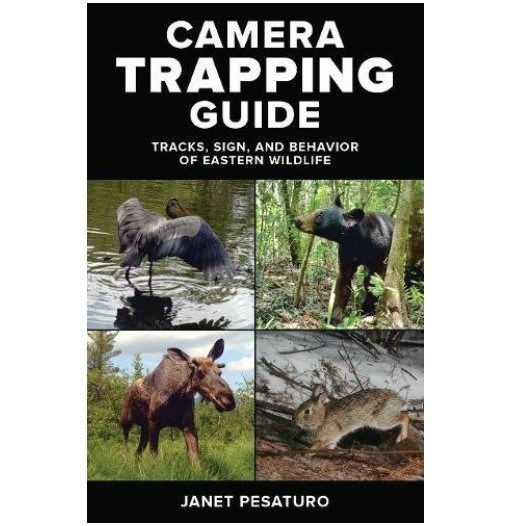 Want to Try Camera Trapping? Check Out This New Guide