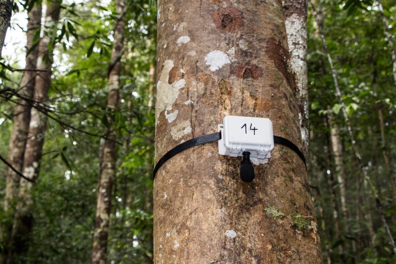 Bioacostic Recoder bioacoustics, soundscapes