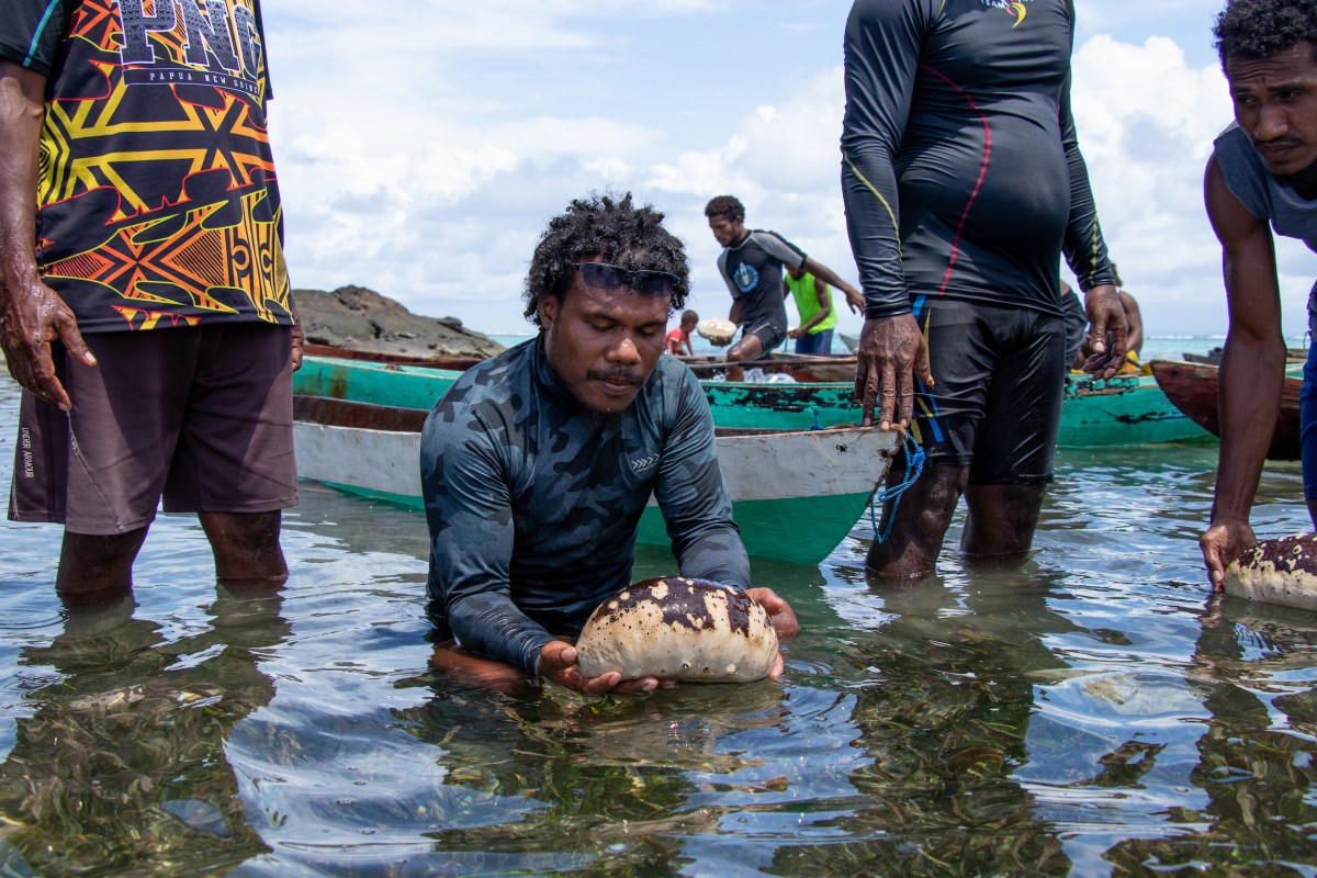 A man in the water holding a large sea cucumber.