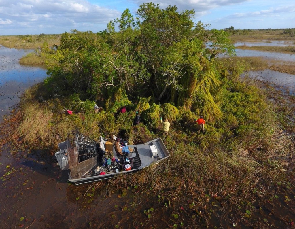 aerial of a boat and people in the Everglades