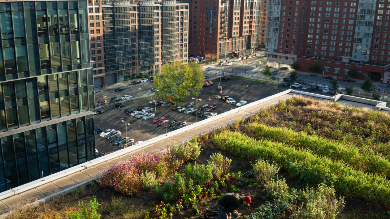 a rooftop garden in a city