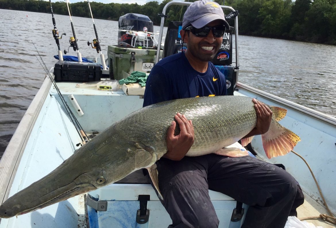 scientist using both arms to hold a large grey-green colored fish