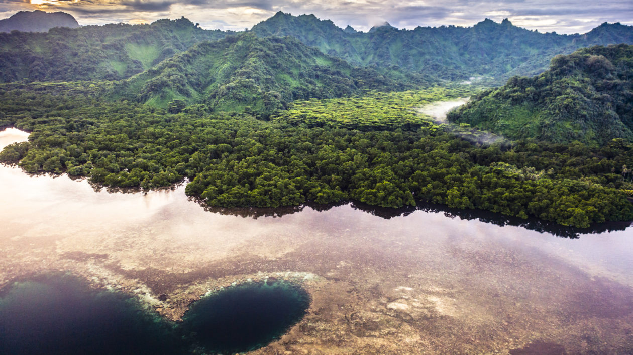 an island with forest