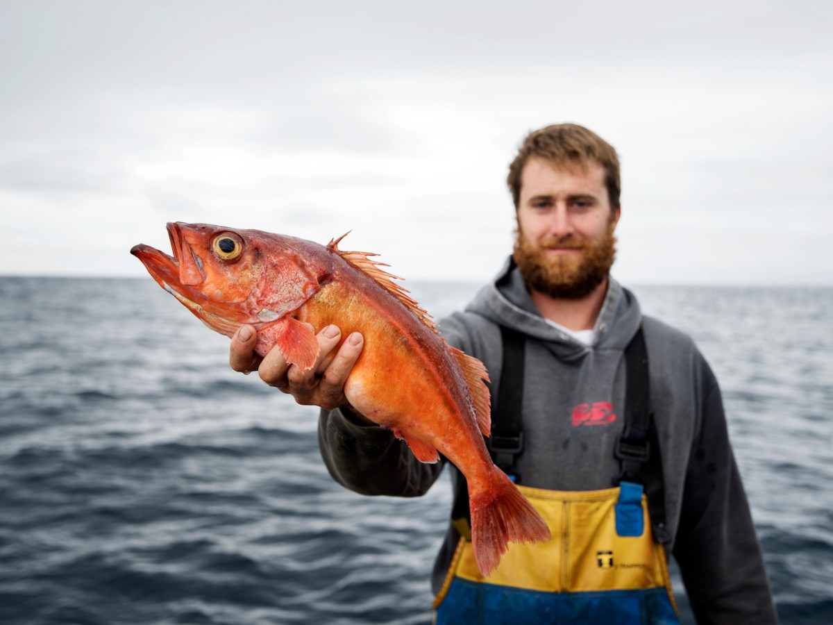 a man holding a fish