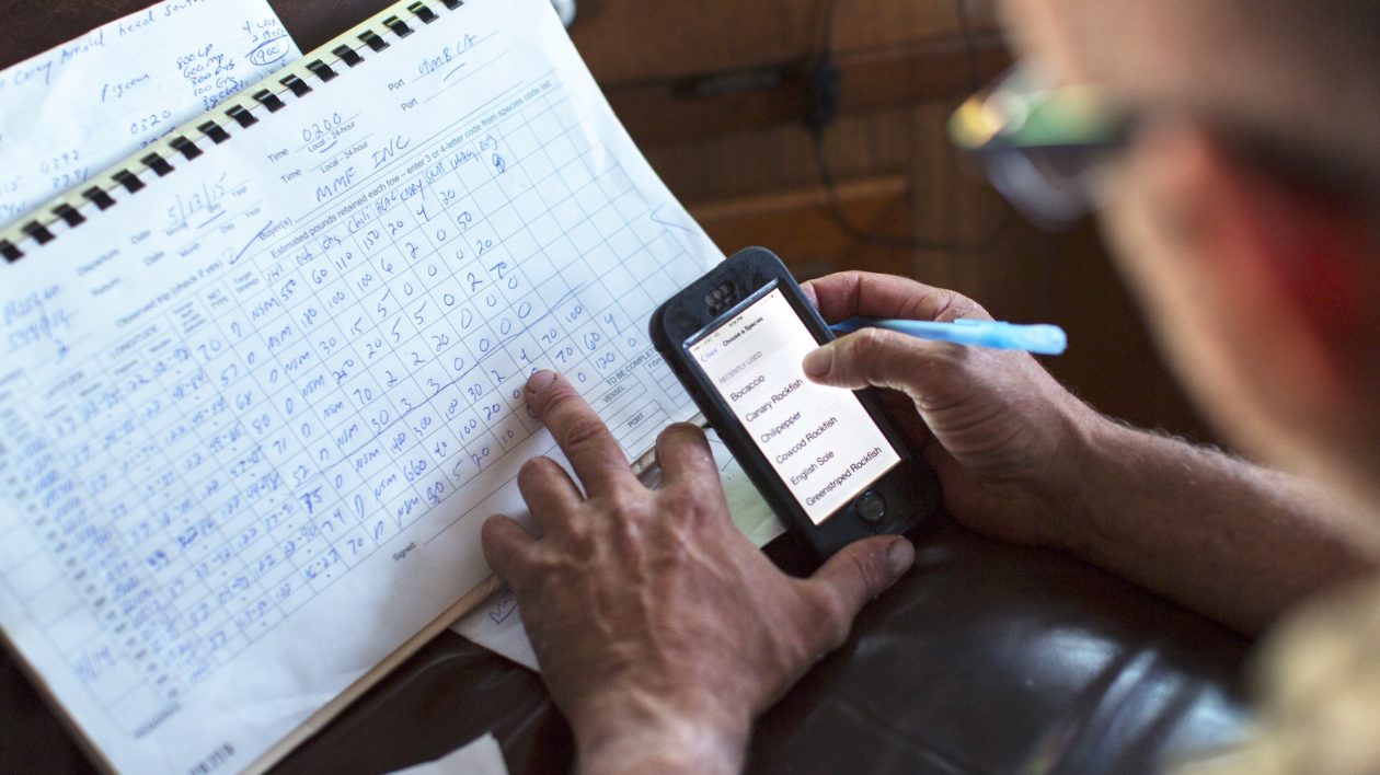 fishermen recording data