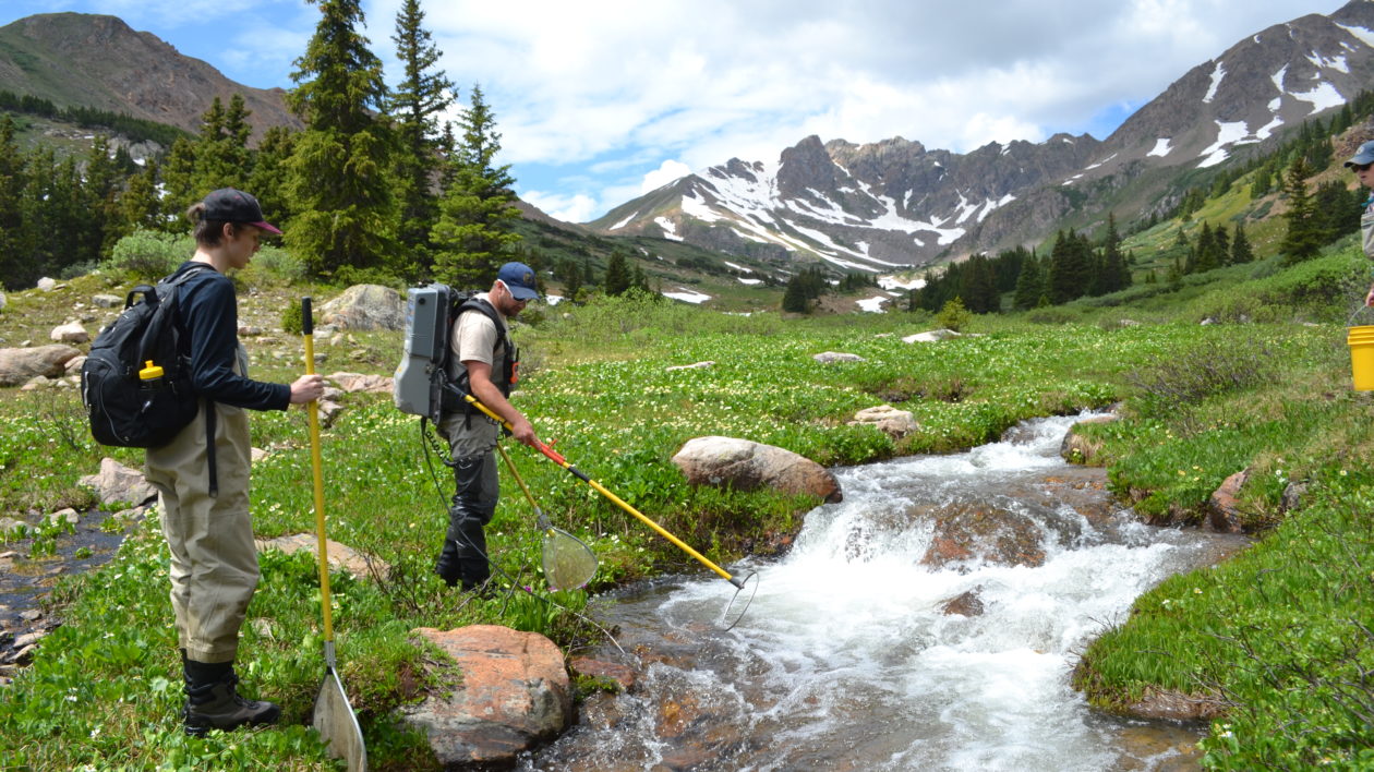 two men in a mountain field