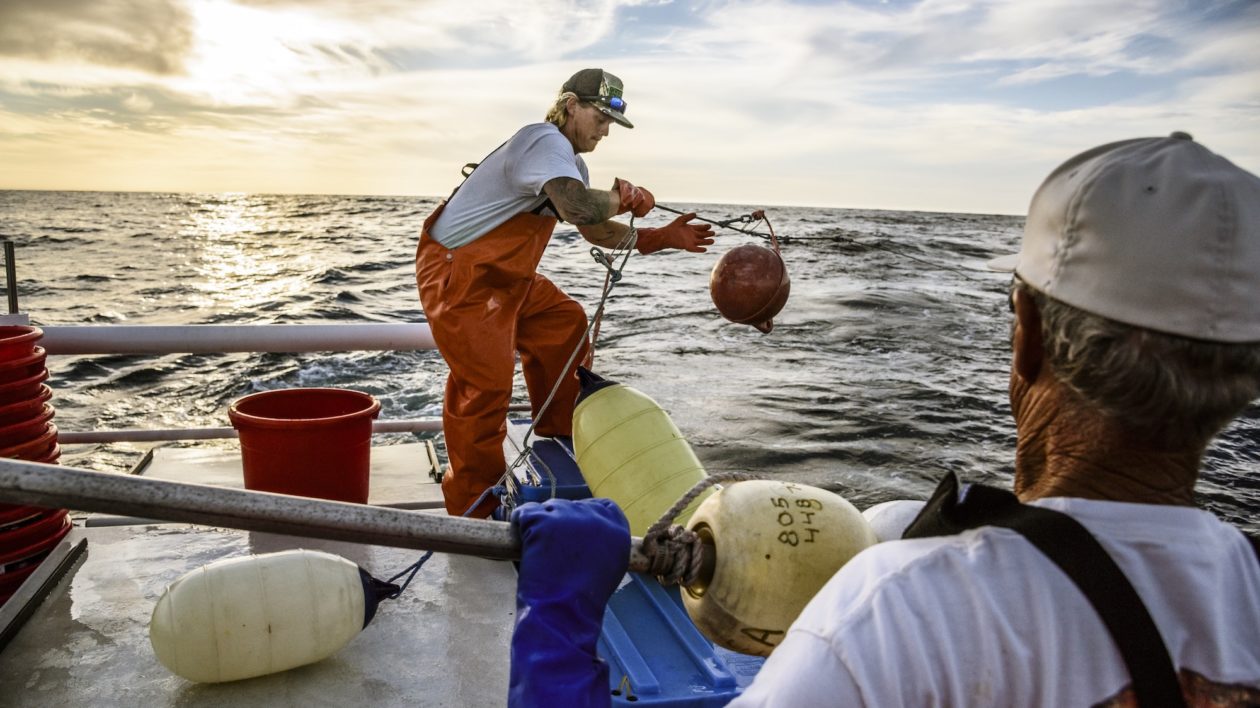 a fisherman working