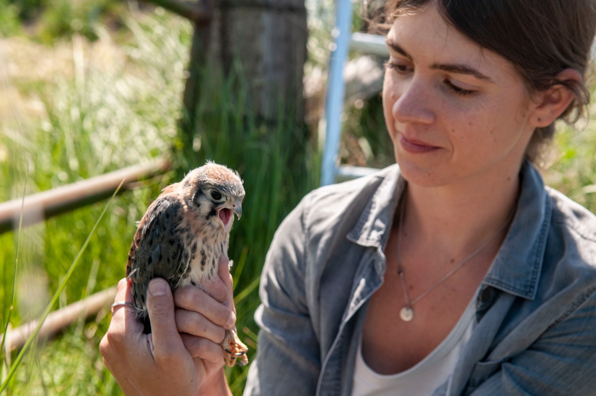 woman holds baby bird