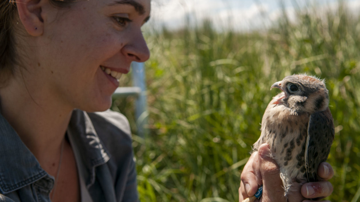 woman with baby bird