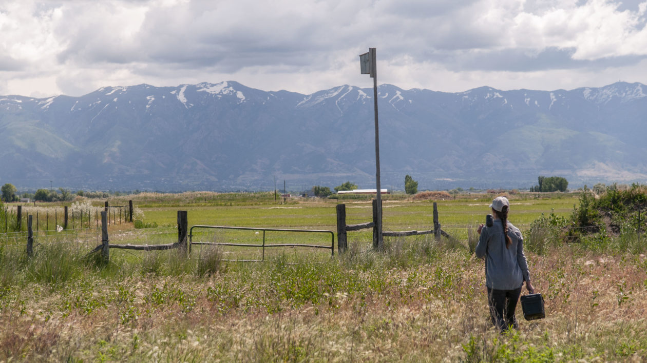 woman walking in field