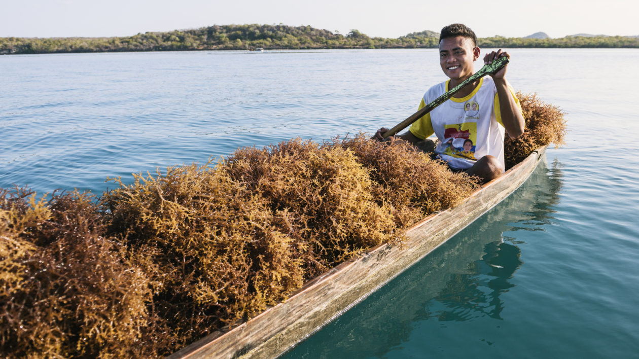 canoe full of seaweed