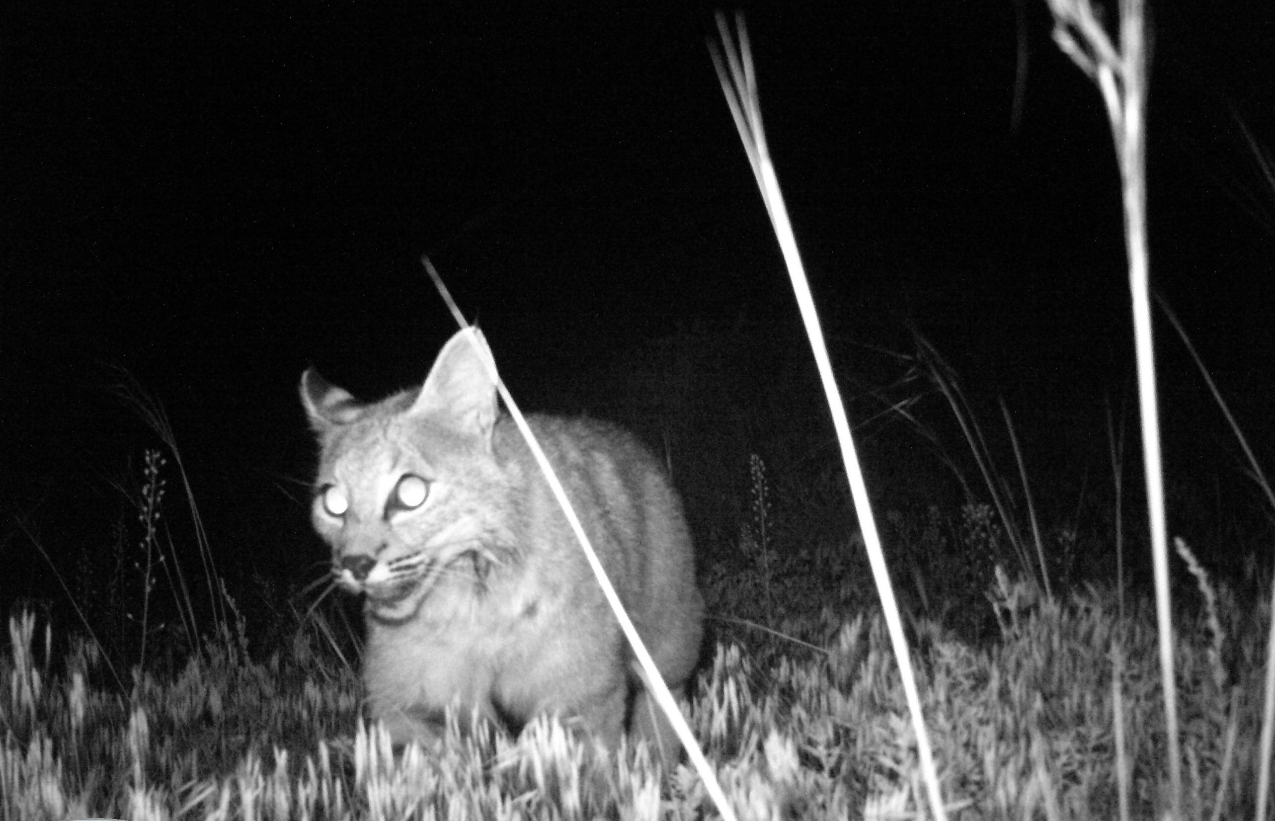 Phantom Canyon Archives Cool Green Science phantom-canyon-archives-cool-green-science