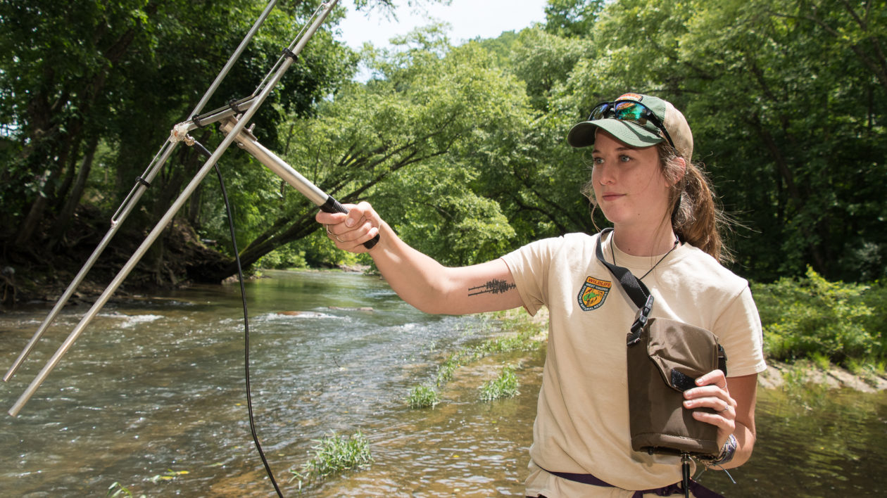 Radio Tracking a Rare Crayfish