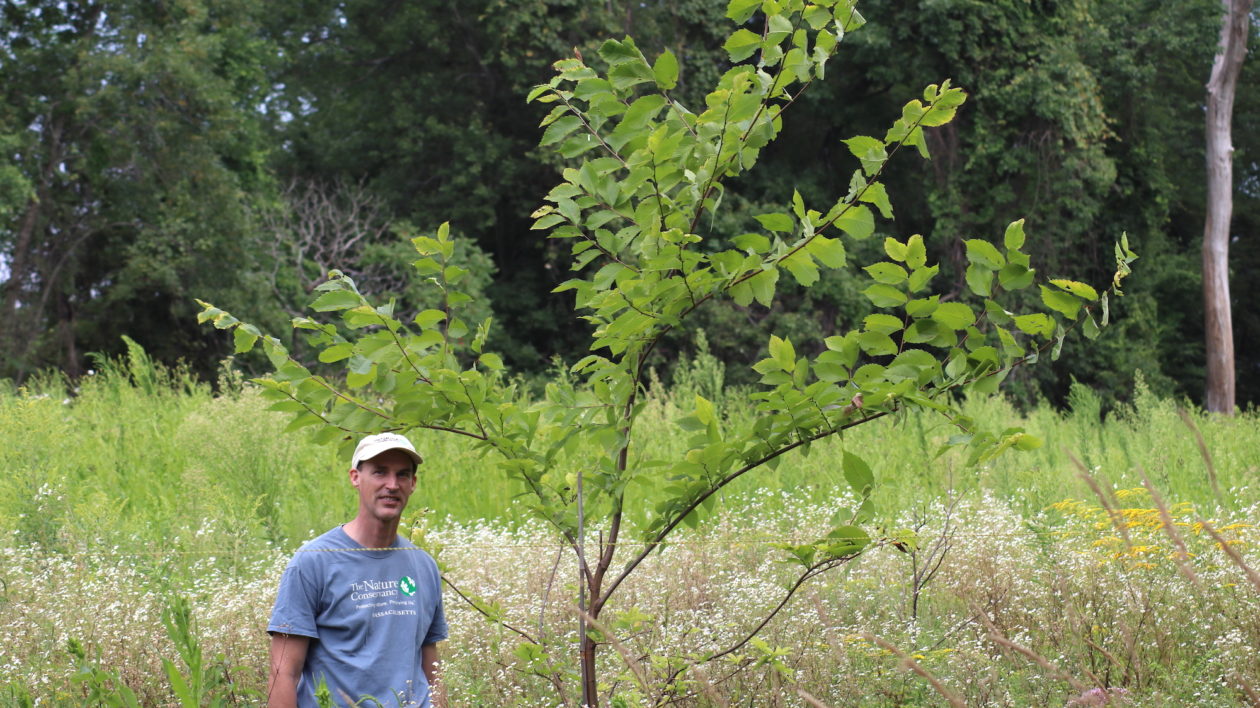 man next to tree