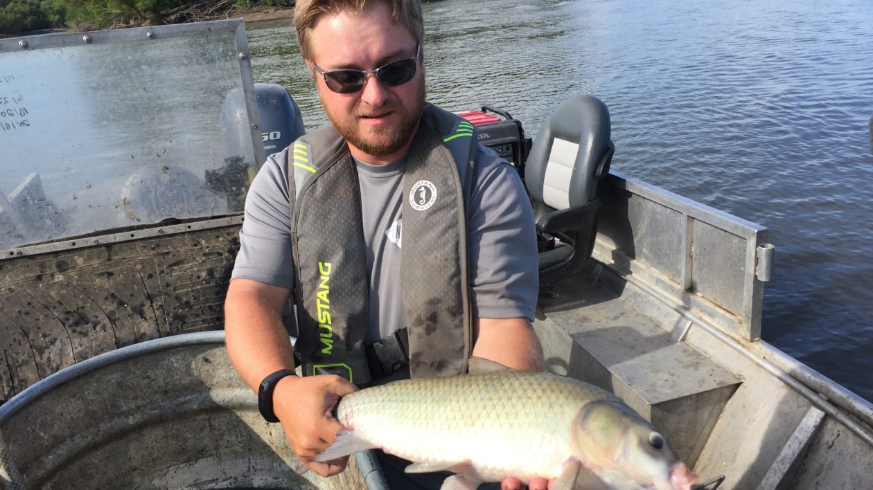 Fishing for Asian carp in the Illinois River