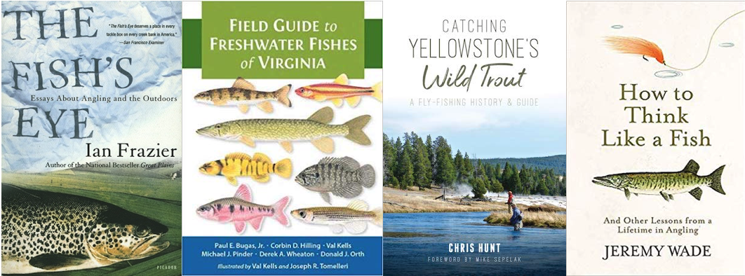 Field Guide To Freshwater Fish 