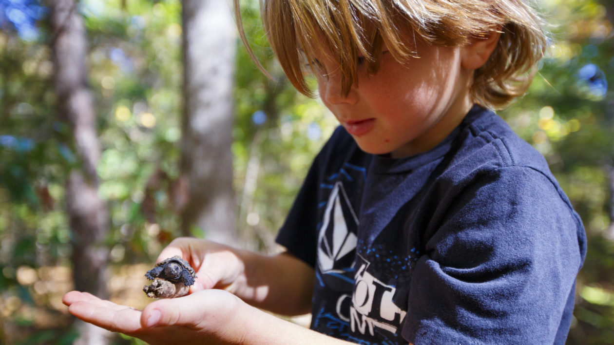 tnc 47356804 preview 50 Fish, 50 States: Small Stream Wonders