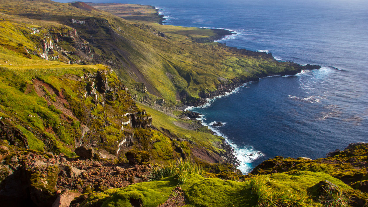 rocky green island and ocean