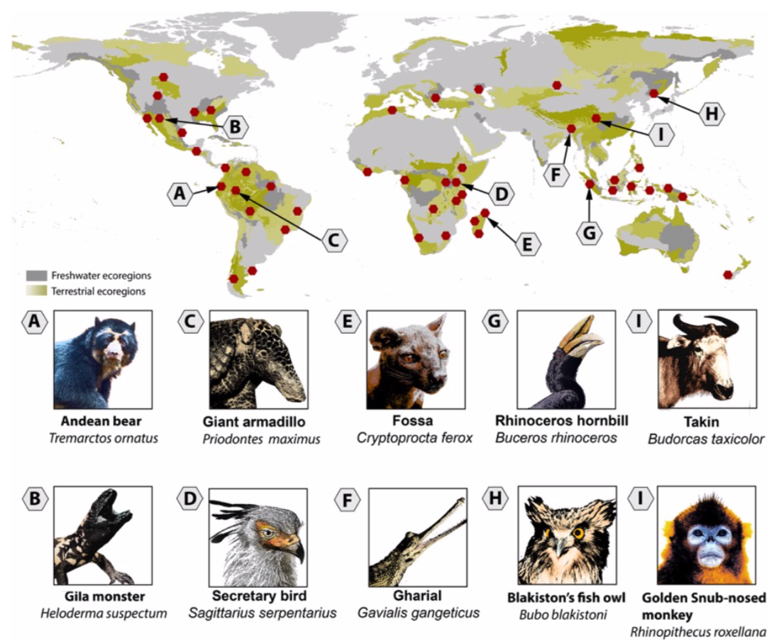 graphic with map and photos of animals