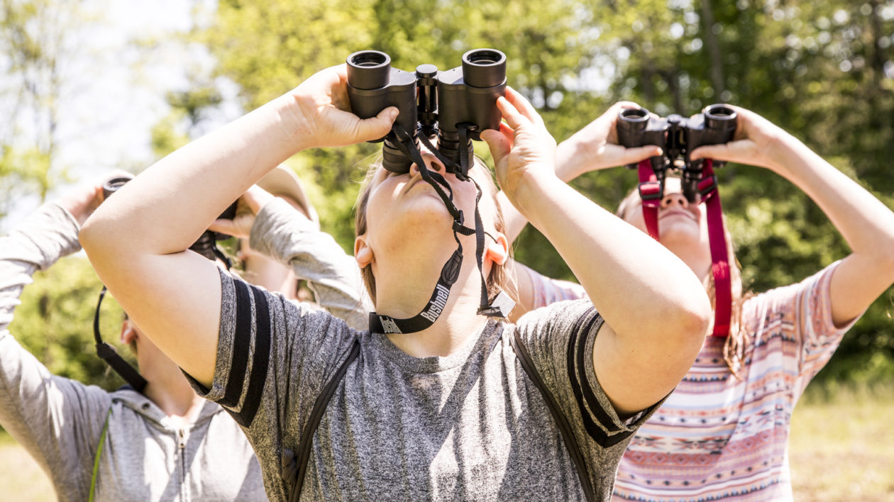 three people birding