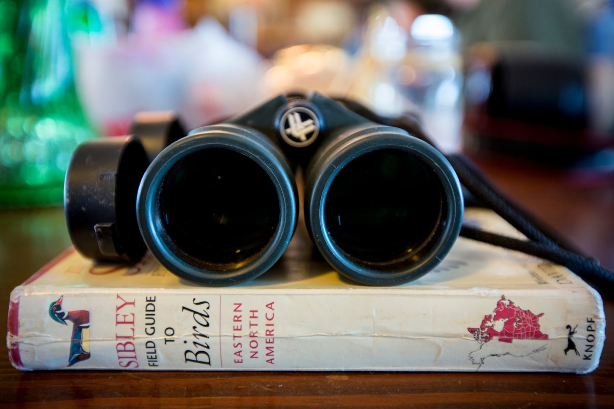 binoculars and field guide