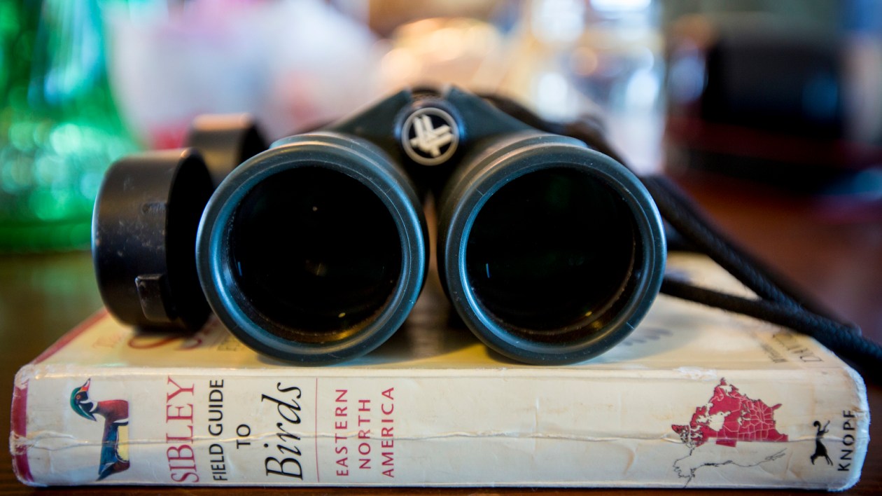 binoculars and field guide