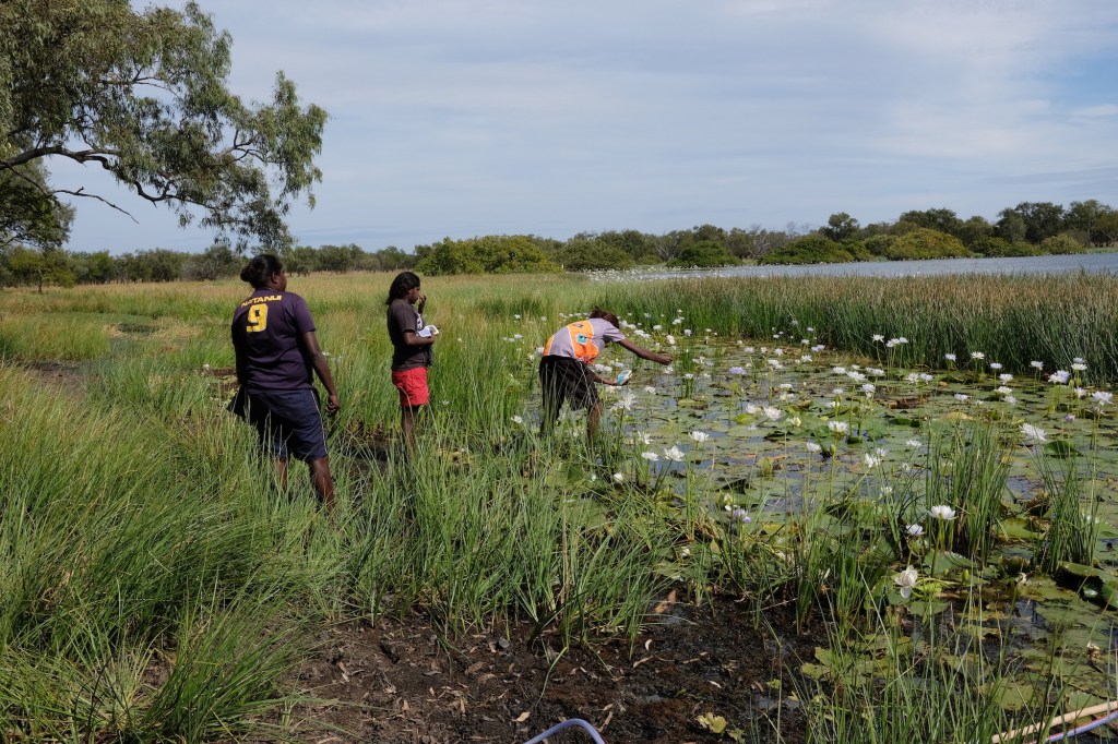 youth rangers and a billabong with lillies