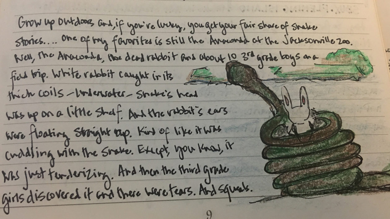 Keeping a Nature Journal: How to Do It