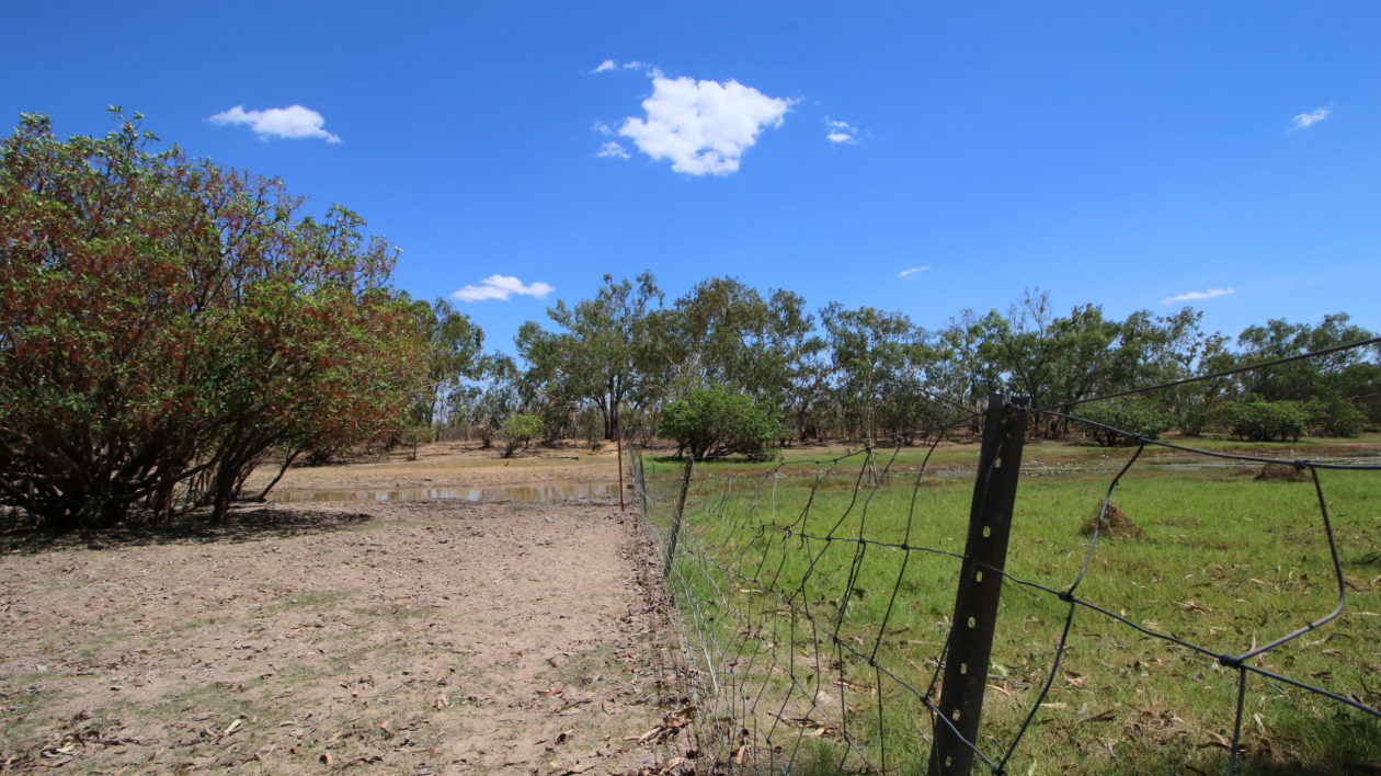 fence with brown dirt on one side and green vegetation on the other